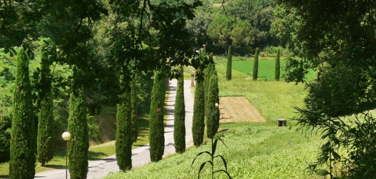 Agriturismo Cascina Cipressa San Romano  Eksteriør billede