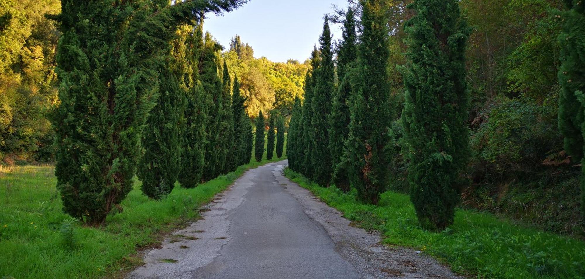 Agriturismo Cascina Cipressa San Romano  Eksteriør billede